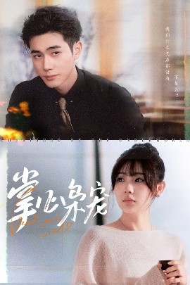 掌心枭宠（100集）李铂一&田园 (2025)-58创客网