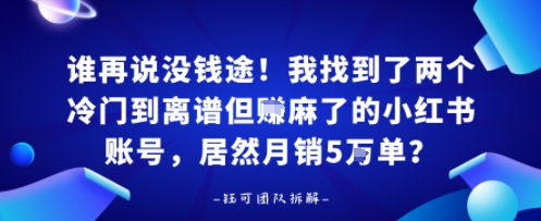 谁再说没钱途！我找到了两个冷门到离谱但賺麻了的小红书账号，居然月销5W单？-58创客网