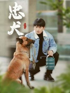 忠犬 (2025)-58创客网