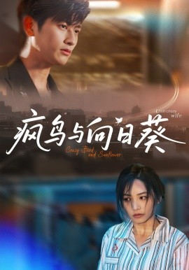 疯鸟与向日葵（40集）韩叙&李虹艺 (2025)-58创客网