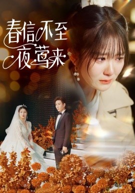 春信不至夜莺来 (2025)-58创客网