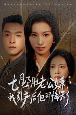 七月孕肚老公嫌，我引产后他却悔哭了 (2024)-58创客网