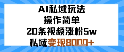 AI私域玩法，操作简单，20条视频涨粉5w，私域变现8k+-58创客网