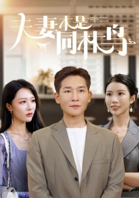 夫妻本是同林鸟 (2024)-58创客网