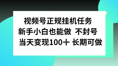 视频号正规挂播任务，有手就行不违规，轻松日入1张-58创客网