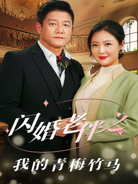 闪婚老伴之我的青梅竹马 (2024)-58创客网