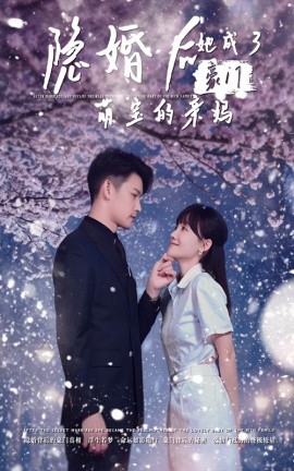 隐婚后，她成了豪门萌宝的亲妈 (2024)-58创客网