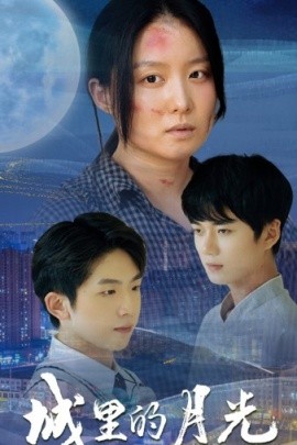 城里的月光 (2024)-58创客网