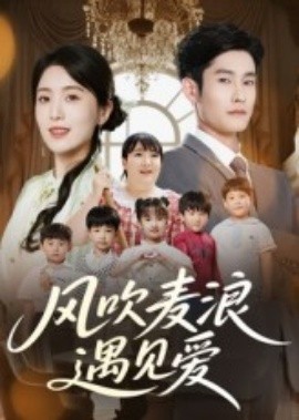 风吹麦浪遇见爱（70集）(2025)-58创客网