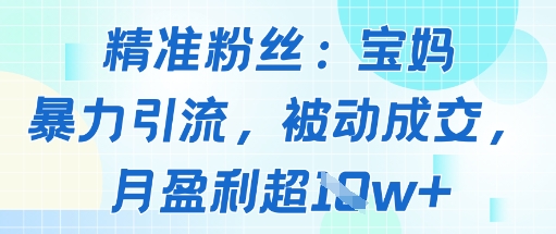 精准粉丝：宝妈暴力引流方法，被动成交，月盈利超1w+-58创客网