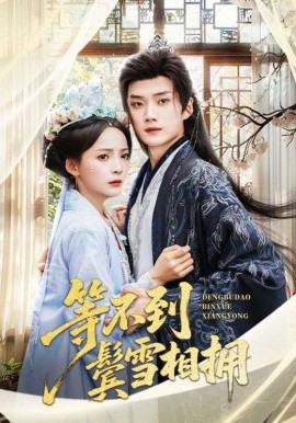 等不到鬓雪相拥（61集）李蔚蓝＆许丹 (2025)-58创客网