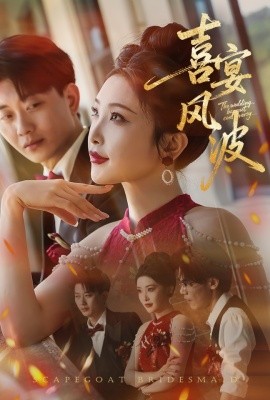 喜宴风波&替罪伴娘（30集）张璇&张逊 (2025)-58创客网