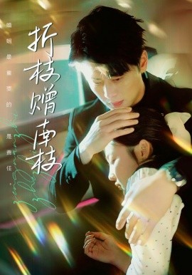 折枝赠南枝（80集）尹一博＆张若辰 (2025)-58创客网