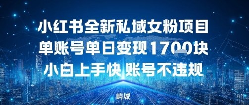 小红书全新私域女粉项目单账号单日变现多张，小白上手快账号不违规建议准备多账号操作-58创客网