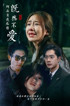 既然不爱何必负我痴情 (2024)-58创客网