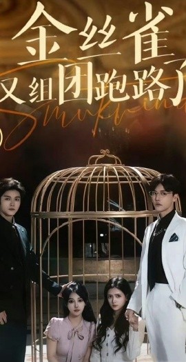 金丝雀又组团跑路了 (2025)-58创客网