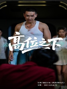 高位之下（65集）张家嘉&赵龙 (2025)-58创客网