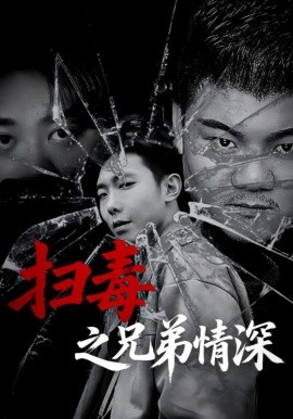 扫毒之兄弟情深（50集）(2025)-58创客网