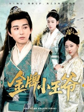 金牌小王爷（80集）潘非佯&李文瑞 (2025)-58创客网
