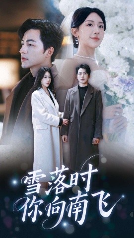 雪落时你向南飞（34集）吴昊＆房蕾 (2025)-58创客网