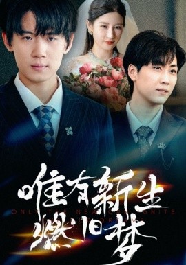 唯有新生燃旧梦（55集）(2025)-58创客网