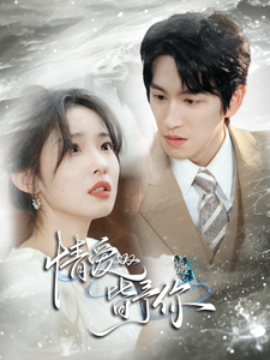 情爱皆予你（80集）林可汉＆陆元 (2025)-58创客网