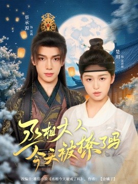 丞相大人今天被撩了吗（80集）楚玥&蔡承源 (2025)-58创客网