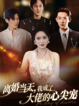 离婚当天，我成了大佬的心尖宠 (2024)-58创客网