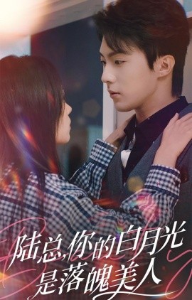 陆总，你的白月光是落魄美人 (2024)-58创客网