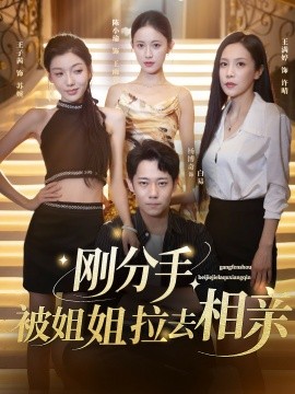 刚分手被姐姐拉去相亲&分手被姐姐拉去相亲（73集）王子茜&陈小瑜&王满婷 (2025)-58创客网