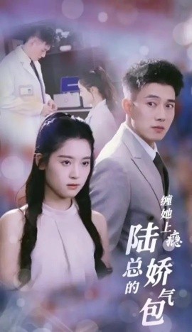 缠她上瘾陆总的娇气包 (2024)-58创客网