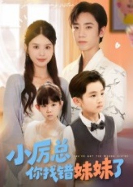 小厉总你找错妹妹了（52集）(2025)-58创客网