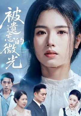 被遗忘的微光（48集）(2025)-58创客网