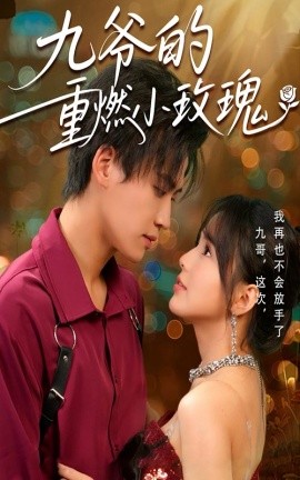 九爷的重燃小玫瑰（67集）罗琼&张洪鸣 (2025)-58创客网