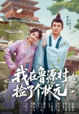 我在鲁源村捡了个状元（20集）顾怜安&苏晓 (2025)-58创客网