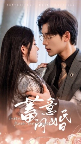 蓄意闪婚 (2024)-58创客网