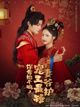 你惹她干嘛，宠妻王爷最护短（74集）谢鸿鑫＆羽翎 (2025)-58创客网