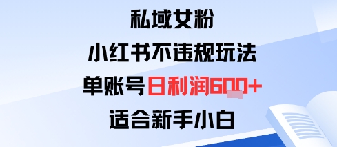私域女粉：小红书平台不违规玩法单账号日利润6张+适合新手小白-58创客网