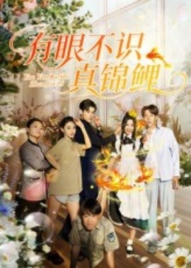 有眼不识真锦鲤（35集）刘凯&尹玲 (2025)-58创客网