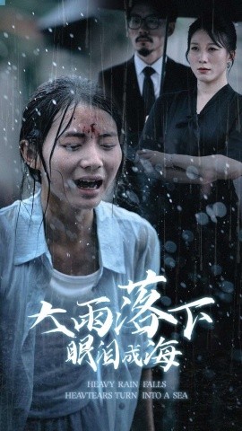 大雨落下眼泪成海 (2024)-58创客网