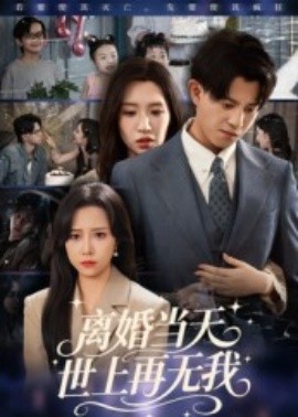 离婚当天世上再无我（60集）董劭辉 (2025)-58创客