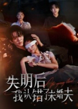 失明后我认错了未婚夫（34集）姜彬彬&杨宇轩 (2025)-58创客