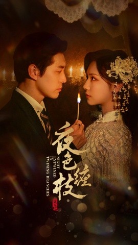 夜色缠枝（60集）赵廷义＆王云云 (2025)-58创客网