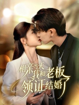 相亲当天我和老板领证结婚了(52集)刘苗苗&张本睿 (2025)-58创客