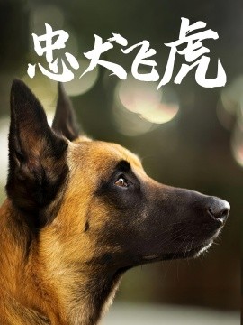 忠犬飞虎（33集）吴桂洲&谭镁纶 (2025)-58创客