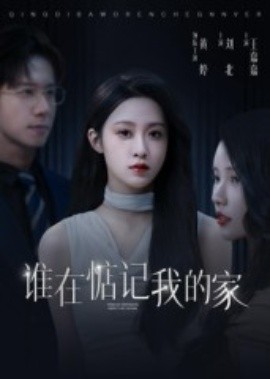 谁在惦记我的家（30集）刘北&王嘉嘉 (2025)-58创客
