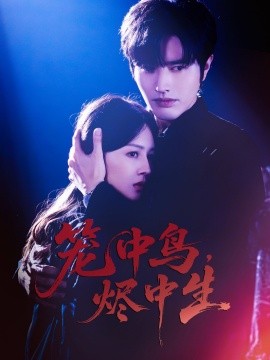 笼中鸟，烬中生（60集）罗正＆郑初晨 (2025)-58创客