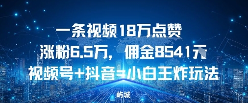 一条视频18W点赞涨粉6.5W，佣金8541视频号+抖音=小白王炸玩法-58创客