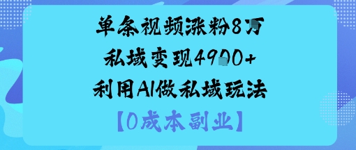 单条视频涨粉8W私域变现1k+利用AI做私域玩法-58创客
