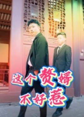 这个赘婿不好惹（27集）(2025)-58创客